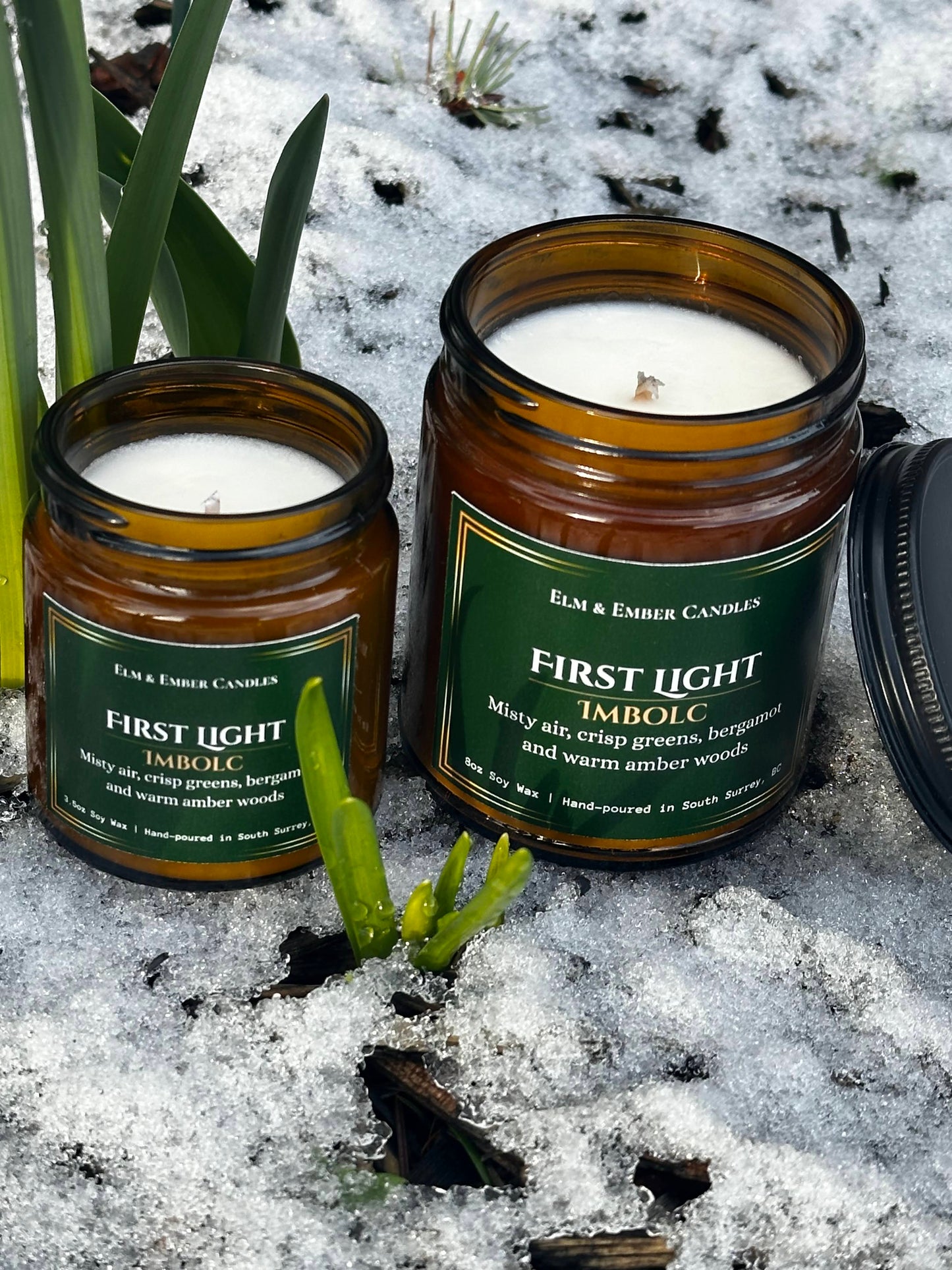 First Light - Imbolc